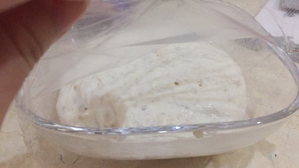 DCC66E9B-646C-43C7-AE98-16B5F2396423